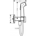 Гигиенический душ Hansgrohe Bidette E, бронза брашированная (29233140)