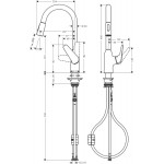 Смеситель для кухни Hansgrohe Focus M42-H220 2jet с выдвижным изливом, хром (71800000)