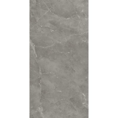 Керамограніт Atlas Concorde Marvel Grey Fleury 60x120 Matt 9мм (A21F)