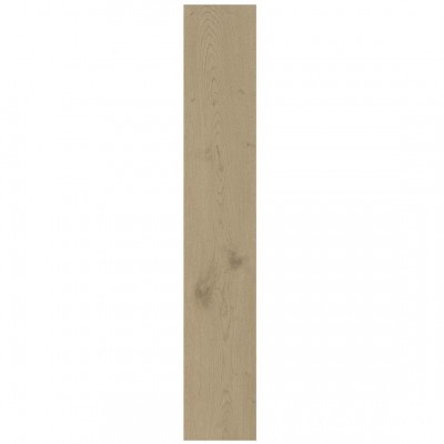 Керамограніт Atlas Concorde Entice Ash Oak Natural 20x120 Matt 9мм (A840)
